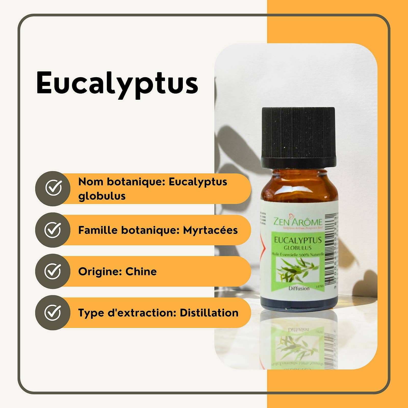 Ätherisches Eukalyptusöl - 100% Natürlich - 10ml