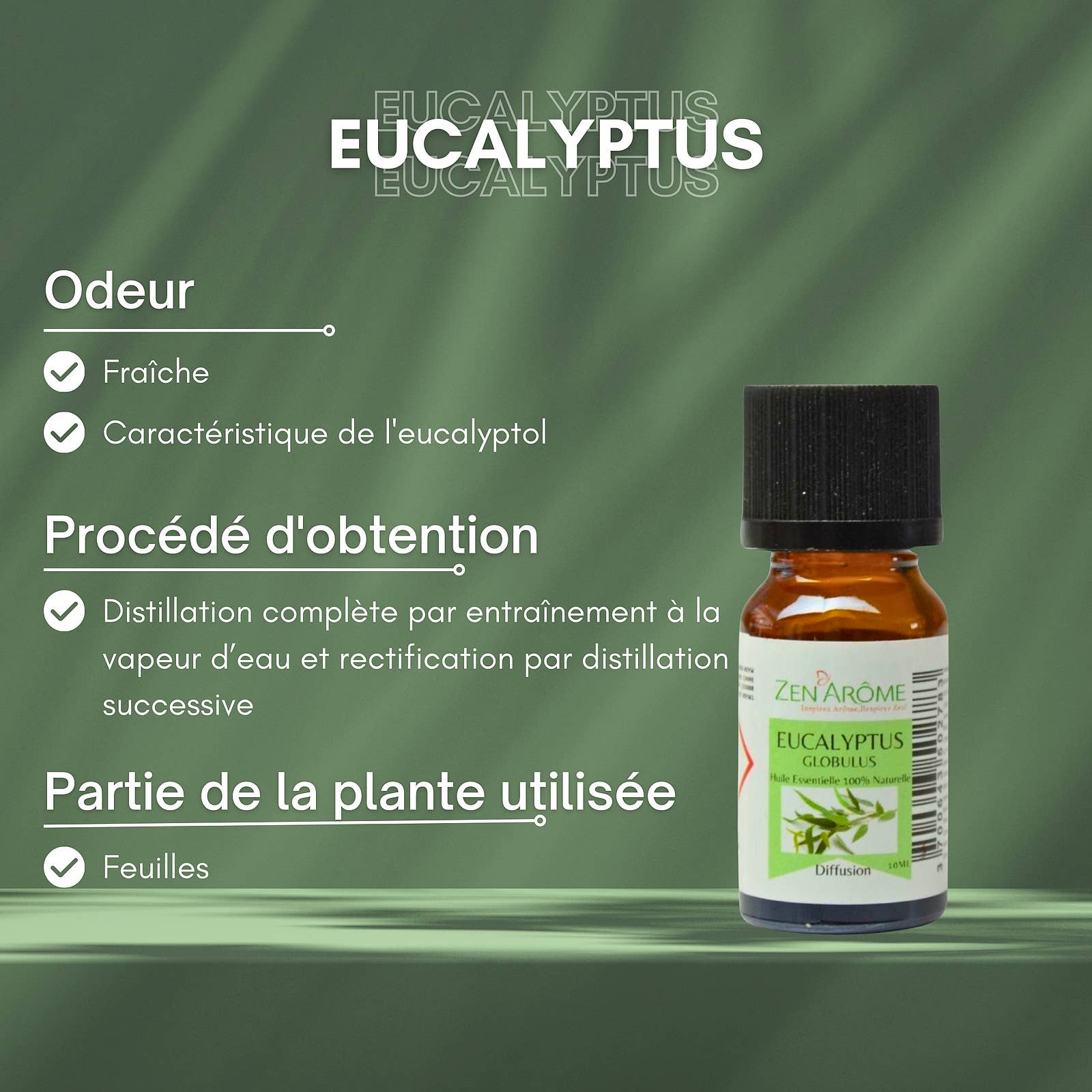 Ätherisches Eukalyptusöl - 100% Natürlich - 10ml