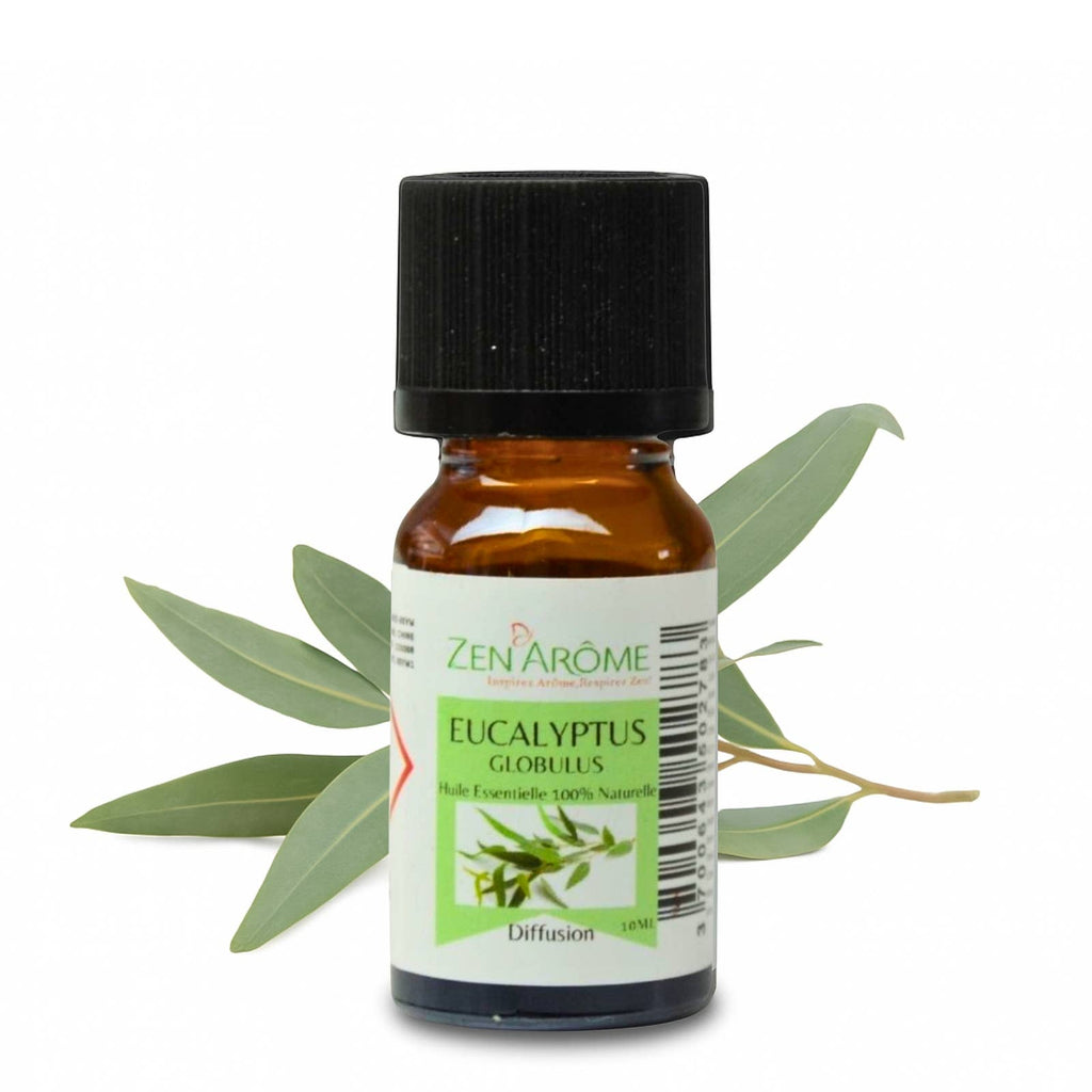 Ätherisches Eukalyptusöl - 100% Natürlich - 10ml
