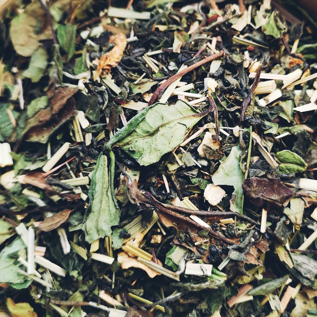 Ingwer Lemon - SENSATION Tee